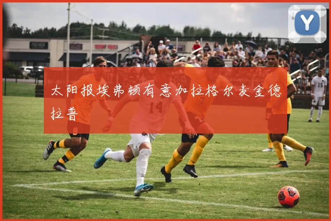 太阳报埃弗顿有意加拉格尔麦金德拉普